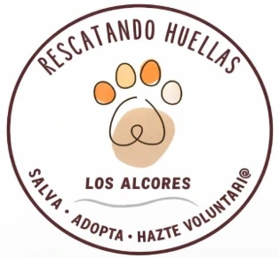 Rescatando Huellas Los Alcores